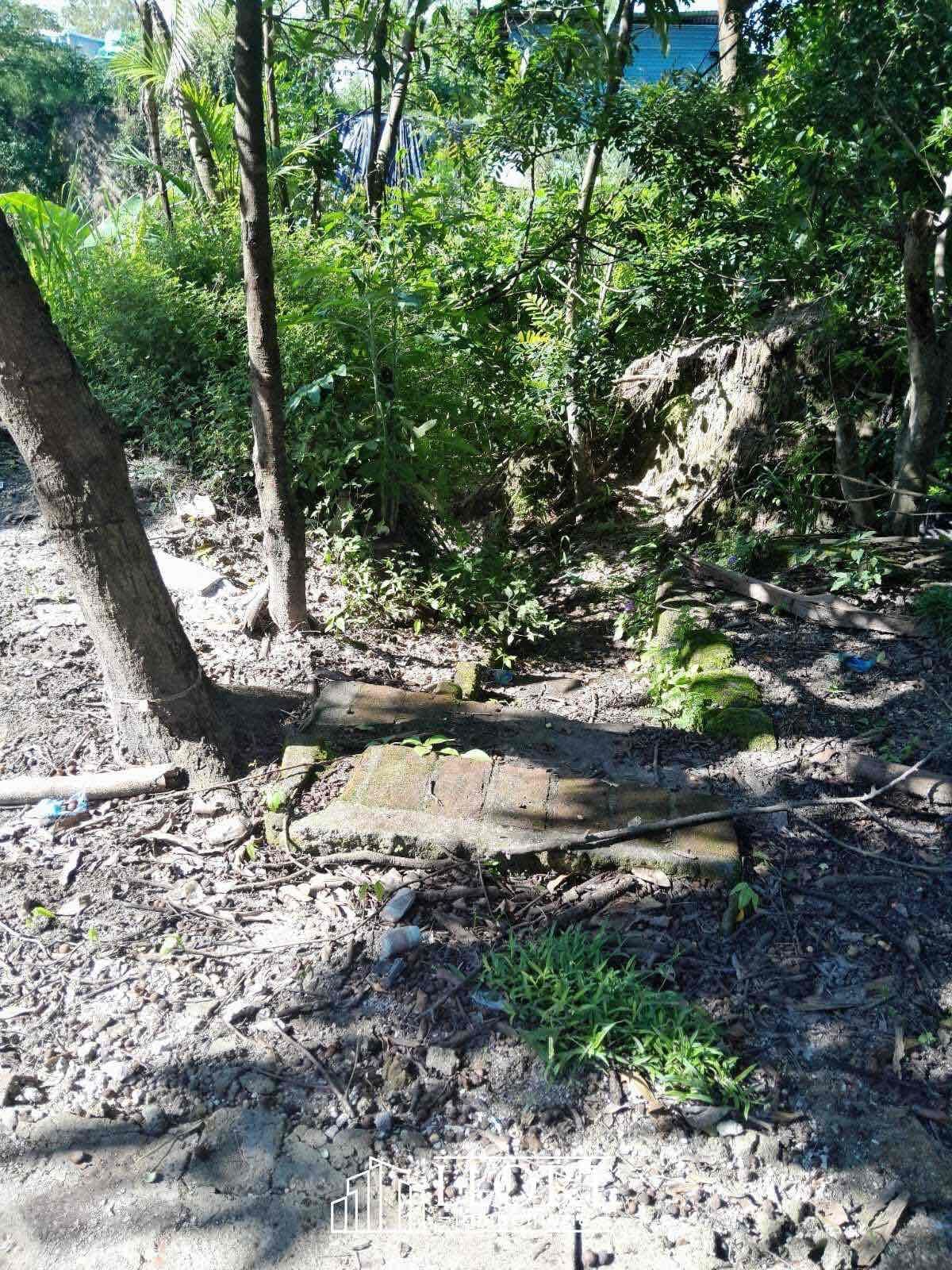 Terreno en VENTA en *San Bartolo, ideal para construcción de bodega, comercio, gasolinera, etc* 10
