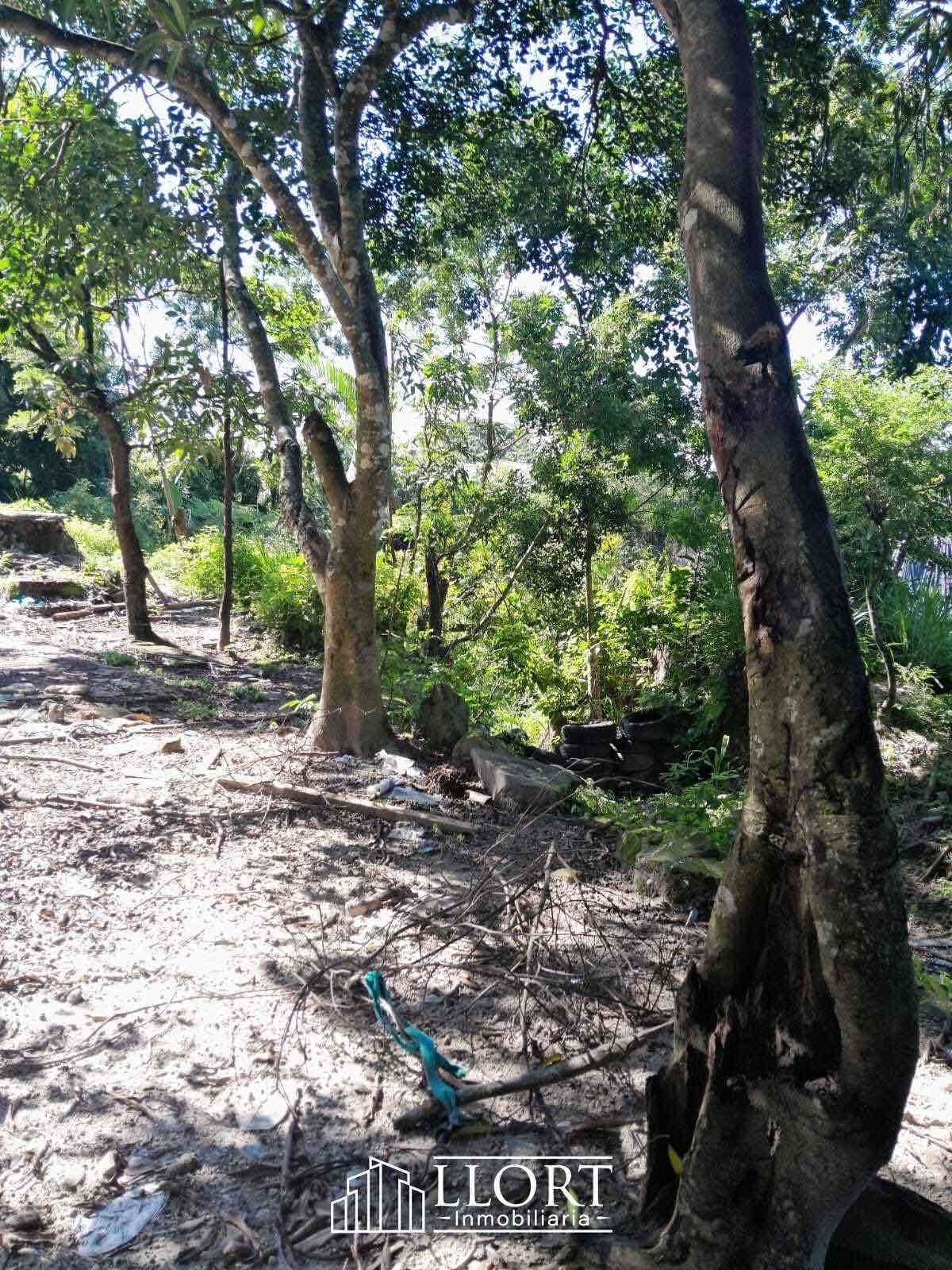 Terreno en VENTA en *San Bartolo, ideal para construcción de bodega, comercio, gasolinera, etc* 6