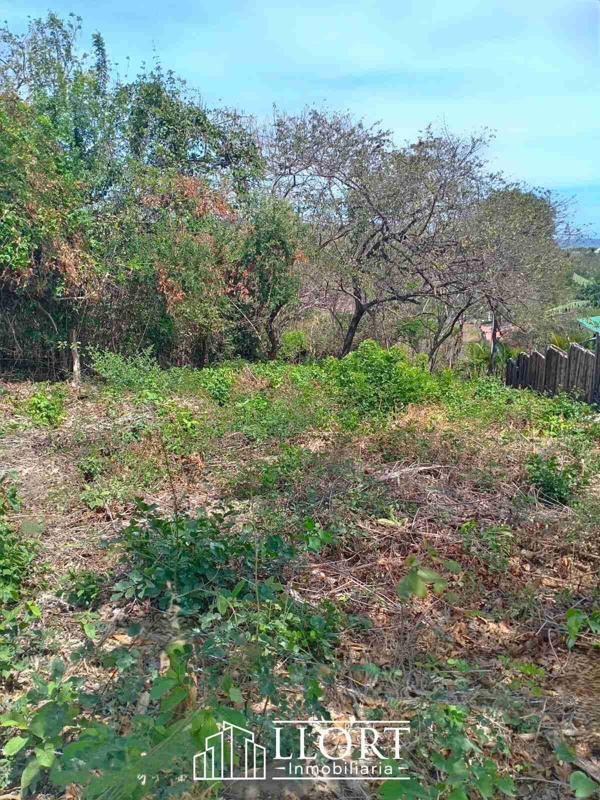 T Punta Mango 6